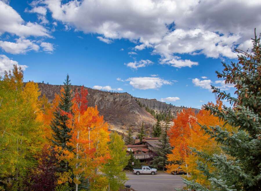 Discover the beauty of mountain living with this stunning property surrounded by vibrant fall foliage.