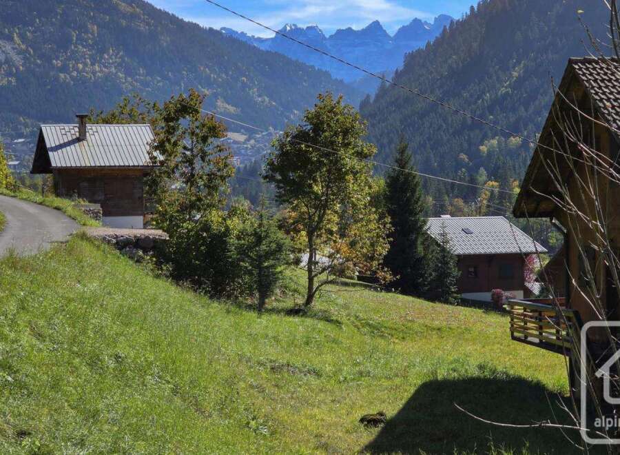 Discover your dream alpine retreat! This charming property boasts stunning mountain views and a serene, natural setting.