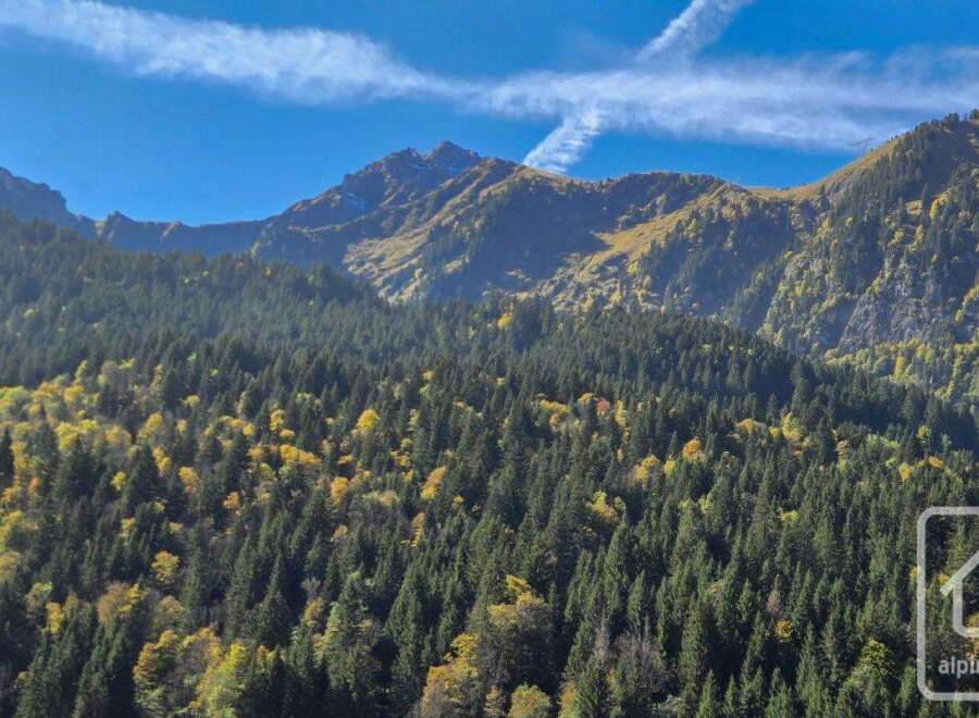 Discover breathtaking mountain views from this stunning property.