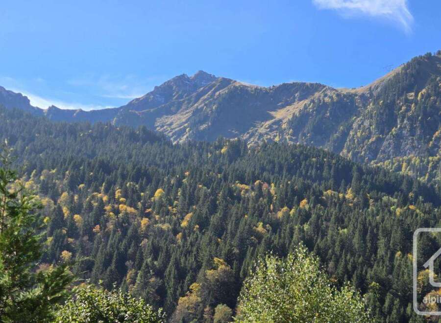 Discover breathtaking mountain views from this stunning property.