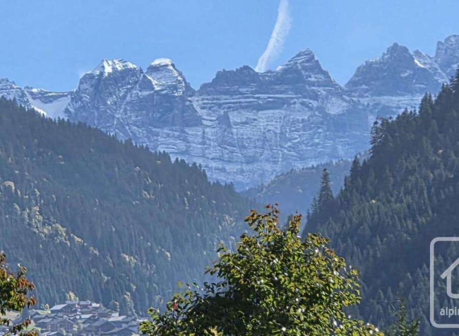 Discover breathtaking mountain views from this stunning property.