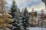 Experience the beauty of mountain living in this stunning property.