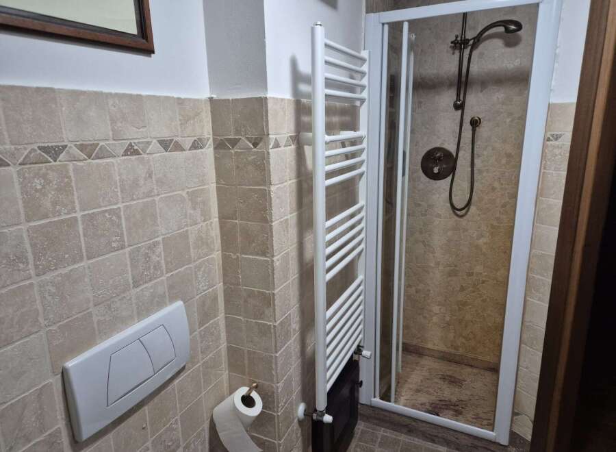 Step into a beautifully designed bathroom featuring a modern shower enclosure and elegant tile work.