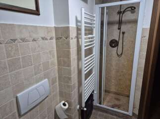 Step into a beautifully designed bathroom featuring a modern shower enclosure and elegant tile work.