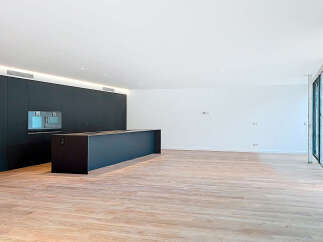 Discover modern luxury in this stunning open-concept kitchen.