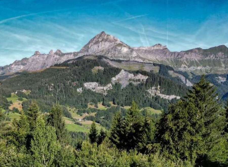 Explore the breathtaking mountain views from this stunning property.