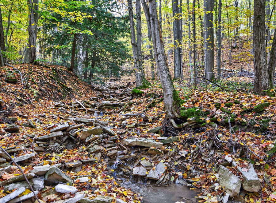 Discover the tranquility of this stunning property nestled in a lush, wooded area.