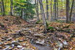 Discover the tranquility of this stunning property nestled in a lush, wooded area.