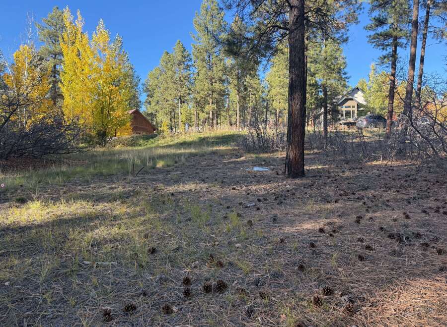 Discover the tranquility of this stunning property, perfect for building your dream home.