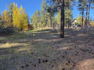 Discover the tranquility of this stunning property, perfect for building your dream home.