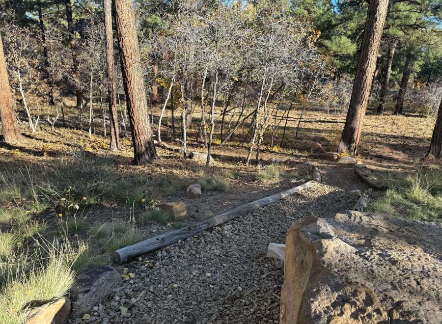 Explore the tranquility of nature with this stunning property! This image showcases a serene pathway winding through a lush forest, perfect for peaceful walks and outdoor enjoyment.