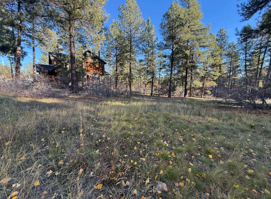 Nestled amidst towering pines, this charming property offers a serene escape.