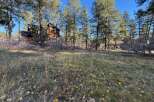 Nestled amidst towering pines, this charming property offers a serene escape.