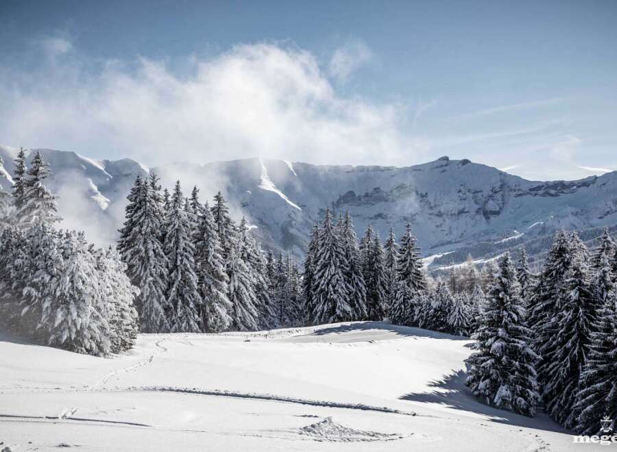 Experience the serenity of winter in this stunning mountain property.