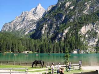 Nestled amidst breathtaking mountain scenery, this property offers unparalleled tranquility and natural beauty.
