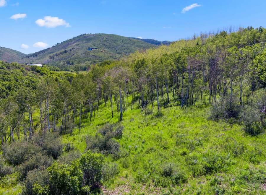 Discover the beauty of this stunning property nestled in a serene natural setting.