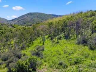 Discover the beauty of this stunning property nestled in a serene natural setting.