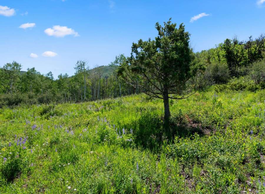 Discover the tranquility of this stunning property, nestled amidst lush greenery and vibrant wildflowers.