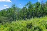 Discover the beauty of nature in this stunning landscape.