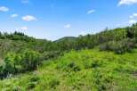 Discover the beauty of nature with this stunning property.