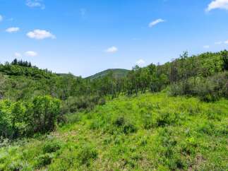Discover the beauty of nature with this stunning property.