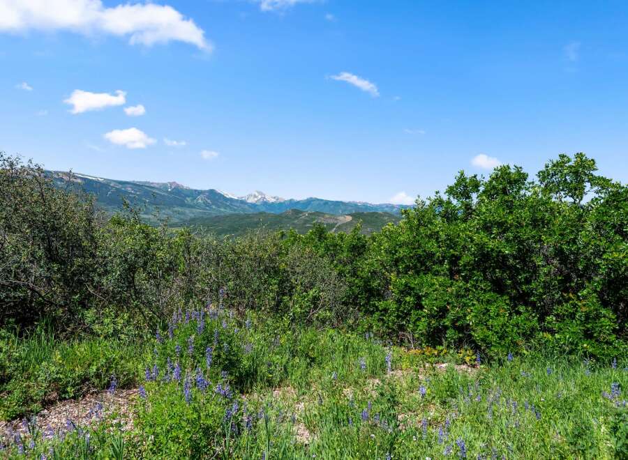 Discover breathtaking mountain views from this stunning property.