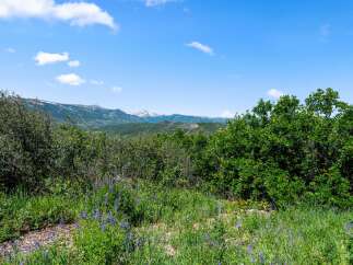 Discover breathtaking mountain views from this stunning property.