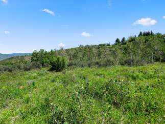 Discover the beauty of this stunning property, nestled in a serene natural setting.