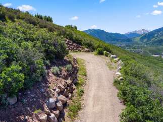 Explore the beauty of nature with this stunning property featuring a winding dirt road that leads you through lush greenery.