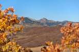 Experience the beauty of nature with this stunning property, offering breathtaking mountain views.