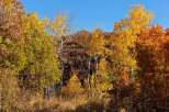 Experience the vibrant beauty of autumn with this stunning property! The landscape is adorned with a colorful display of trees, showcasing a mix of yellow, orange, and red foliage.
