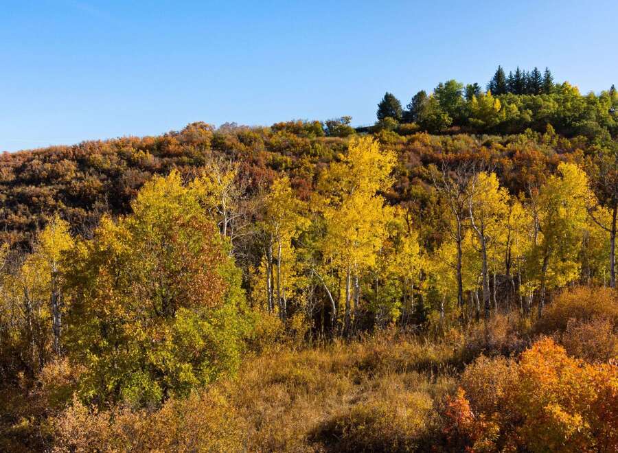 Experience the beauty of nature with this stunning property, surrounded by vibrant autumn foliage.