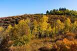 Experience the beauty of nature with this stunning property, surrounded by vibrant autumn foliage.