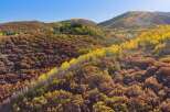 Discover the beauty of this stunning property nestled in the heart of nature.
