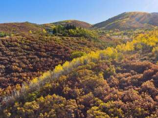 Discover the beauty of this stunning property nestled in the heart of nature.