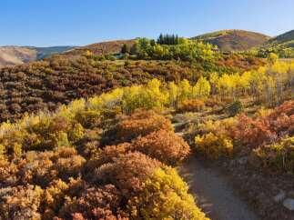 Discover the beauty of this stunning property nestled in the heart of nature.