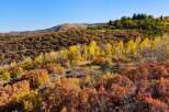 Discover the beauty of this stunning property nestled in a vibrant autumn landscape.