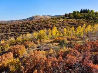 Discover the beauty of this stunning property nestled in a vibrant autumn landscape.