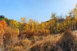 Experience the beauty of nature with this stunning property surrounded by vibrant fall foliage.