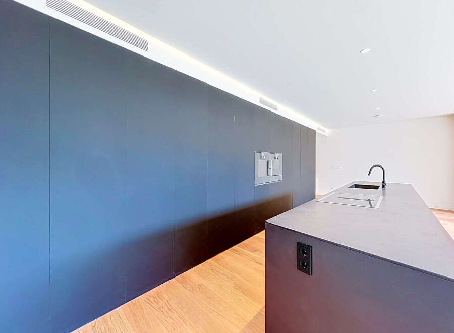 Experience modern luxury in this sleek kitchen featuring a minimalist dark gray cabinetry wall with integrated appliances.