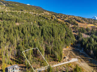 Discover the perfect canvas for your dream home in this stunning mountain setting.