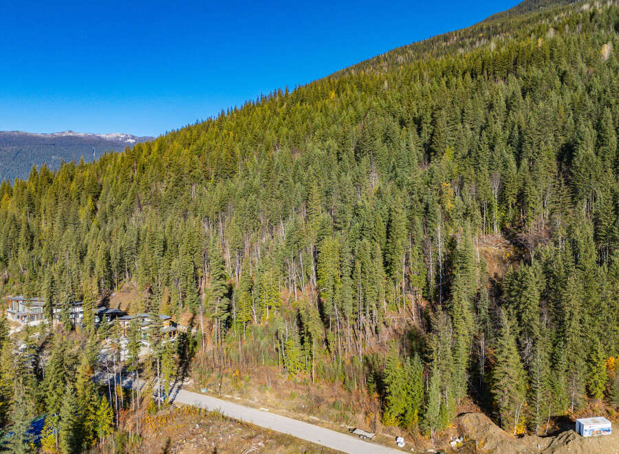 Nestled amidst a lush, evergreen forest, this property offers unparalleled privacy and stunning natural beauty.