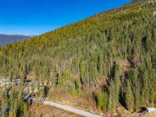 Nestled amidst a lush, evergreen forest, this property offers unparalleled privacy and stunning natural beauty.