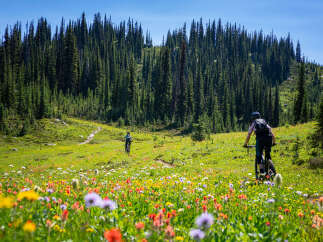 Explore the beauty of nature with this stunning image! This property boasts a lush green landscape, perfect for outdoor activities.