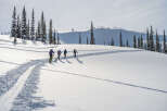 Explore the beauty of winter with this stunning property, perfect for outdoor enthusiasts.