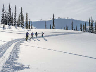 Explore the beauty of winter with this stunning property, perfect for outdoor enthusiasts.