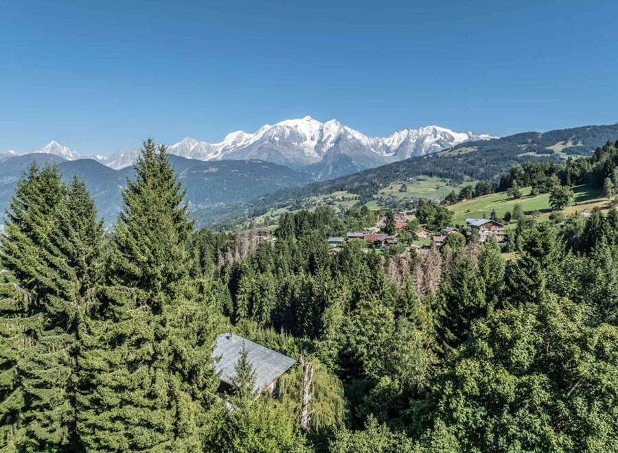 Nestled amidst the breathtaking alpine landscape, this property offers unparalleled views of snow-capped mountains and lush greenery.