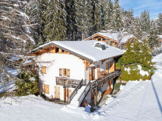 Nestled in a serene winter wonderland, this charming chalet offers a perfect blend of comfort and natural beauty.