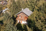 Nestled amidst lush greenery, this charming wooden chalet offers a serene escape.