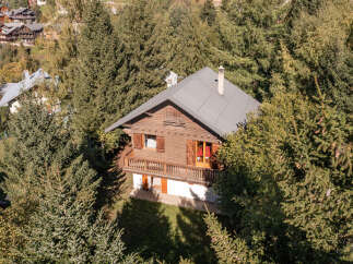 Nestled amidst lush greenery, this charming wooden chalet offers a tranquil escape.